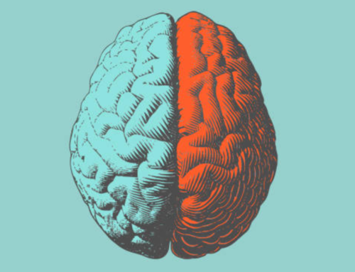 Beyin Kodları Karıştırıyor mu? İki Dilliler Neden Bazen Yanlış Dilde Konuşur?